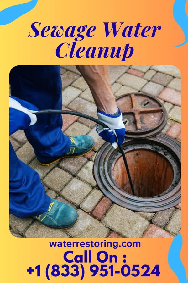 Sewage Water Cleanup in Rainsville, IN