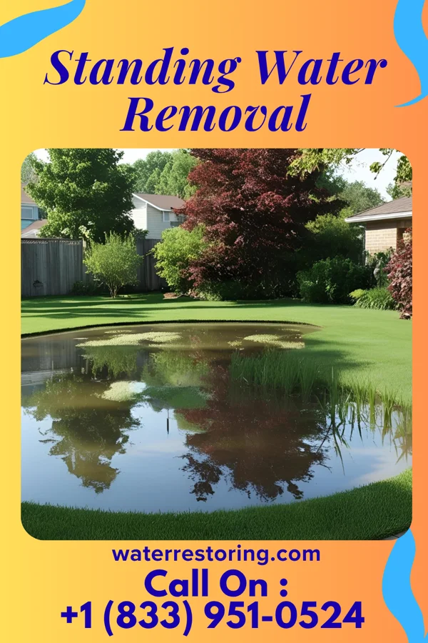 Standing Water Removal in Rainsville, IN